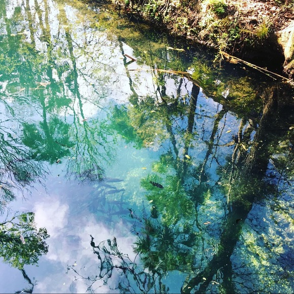 Meet your Posher, Beth - Picture 2 of 3